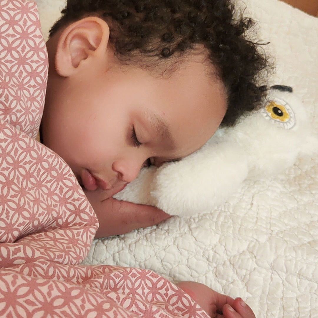 Oli la Chouette HYPNOSE & SOMMEIL