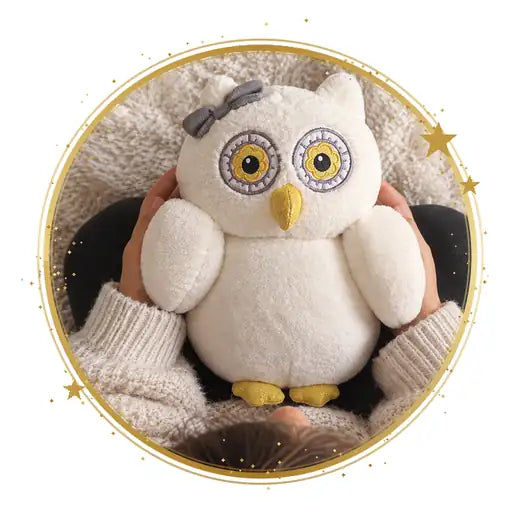 Oli la chouette dans les bras d'un enfant